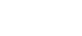 Shopify Plus Partner